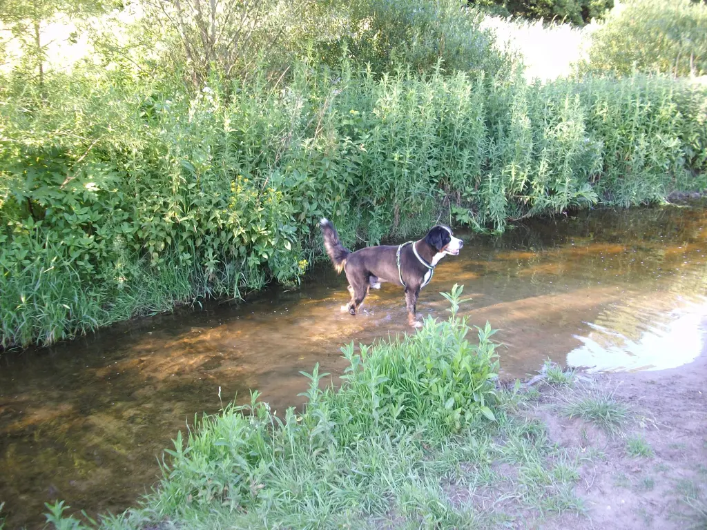 Condolence image of Birgit und Dieter