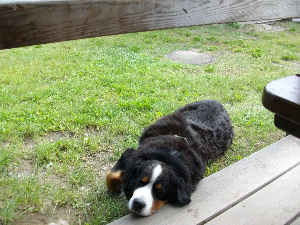 Condolence image of Birgit und Dieter