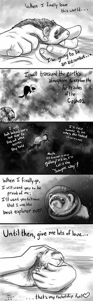 Condolence image of Tanja