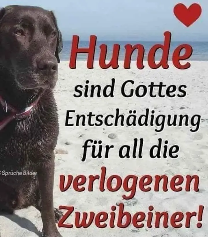 Andachtsbild von Andy und Piet ❤️
