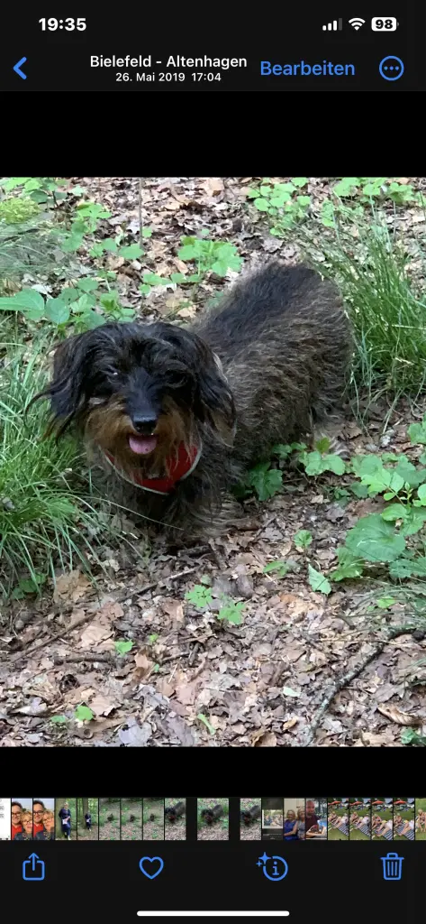 Andachtsbild von Gabriele 