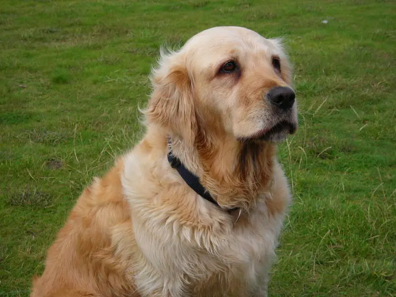 Condolence image of Depfe + Bine