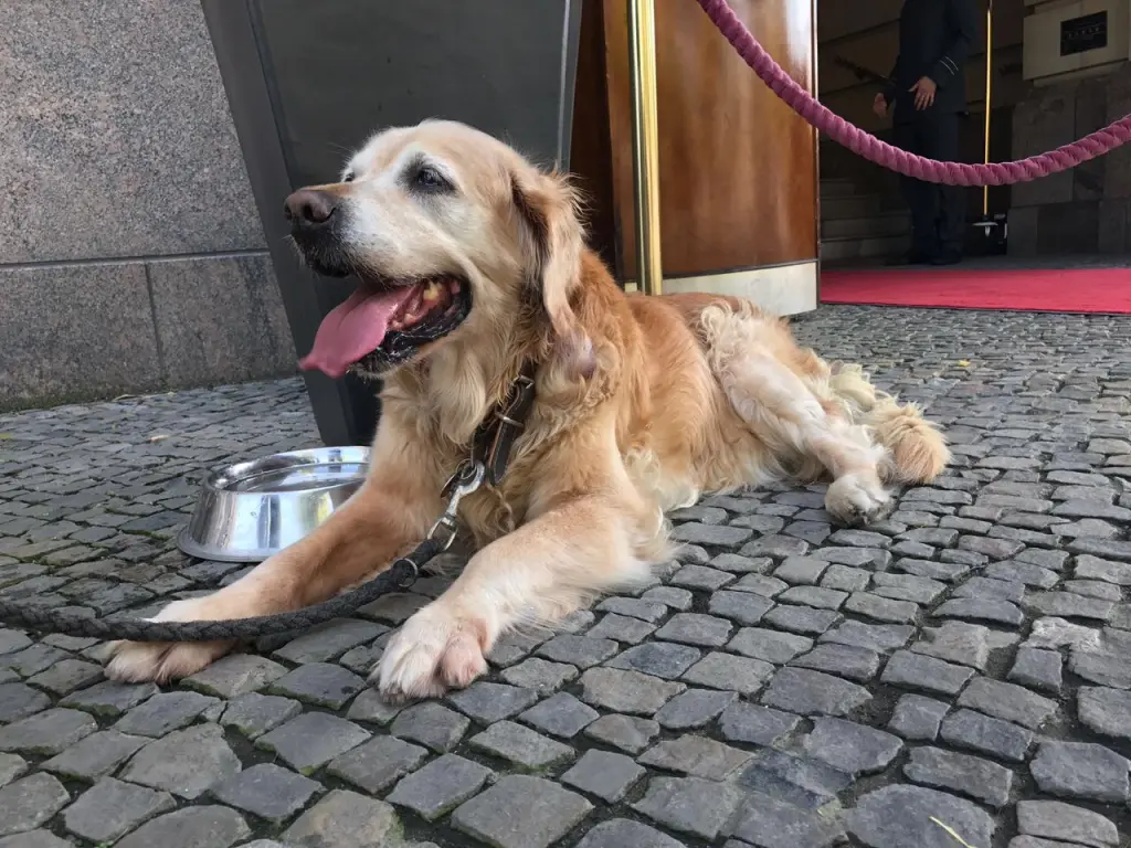 Condolence image of Andreas Ebert