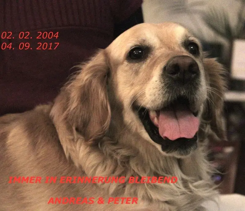 Condolence image of Peter