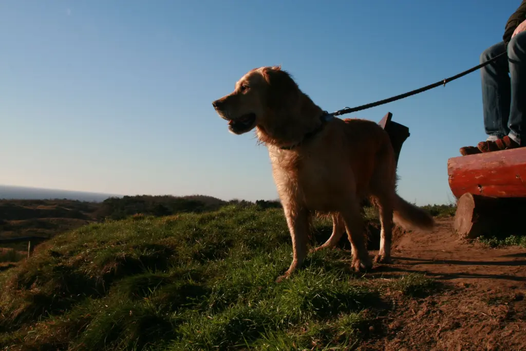 Condolence image of Peter