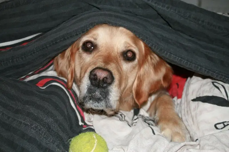 Condolence image of Peter 