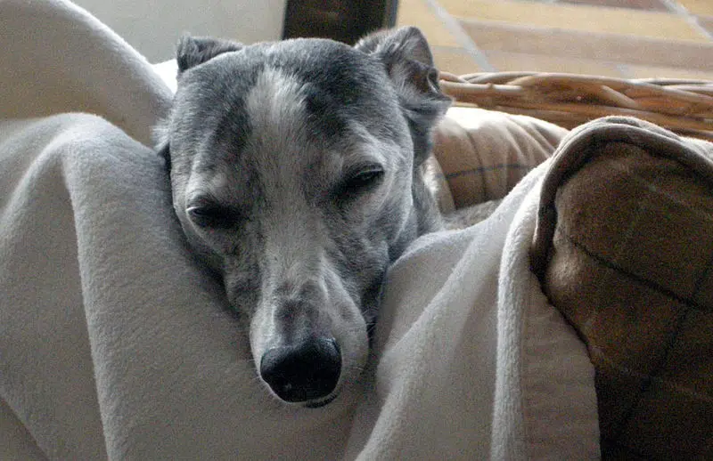 Condolence image of Birgit