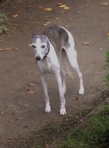 Condolence image of Birgit 