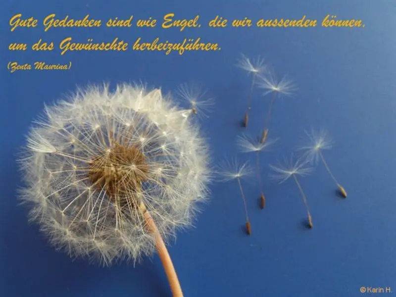 Condolence image of USCHI !!!