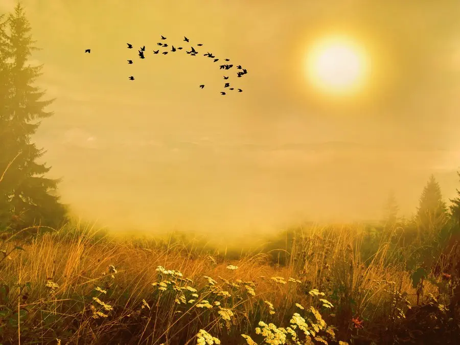 Condolence image of USCHI !!!