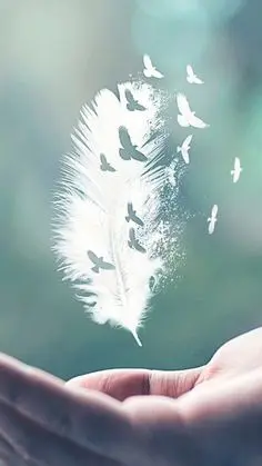 Condolence image of USCHI !!!