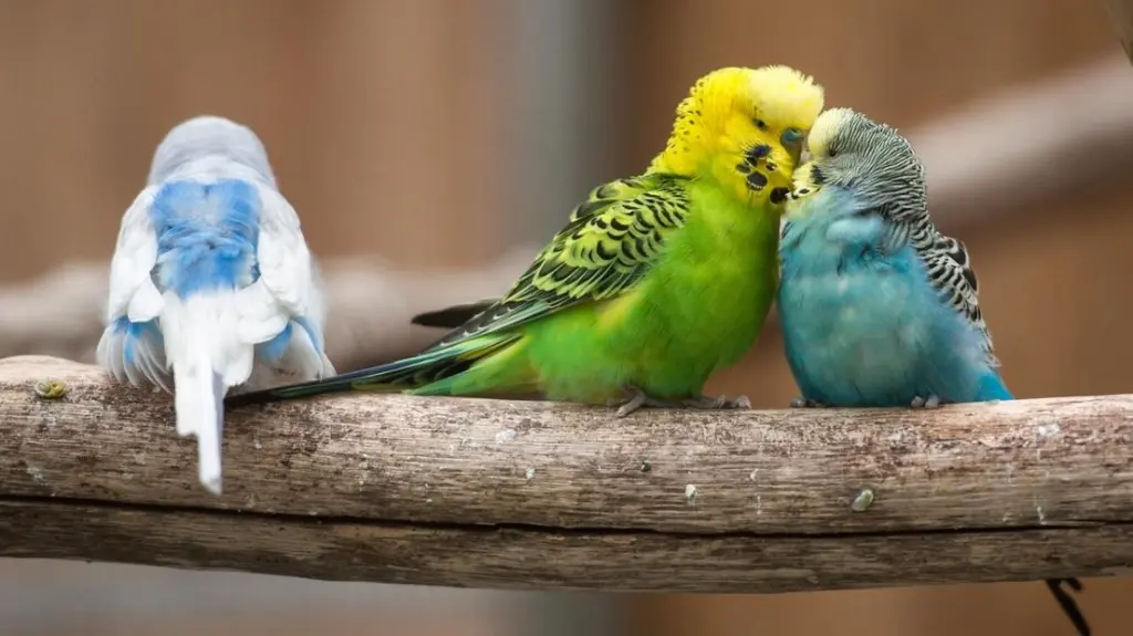 Condolence image of USCHI !!!