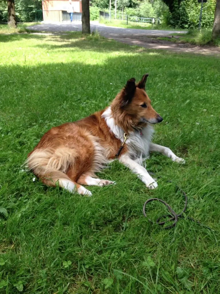 Condolence image of Katharina