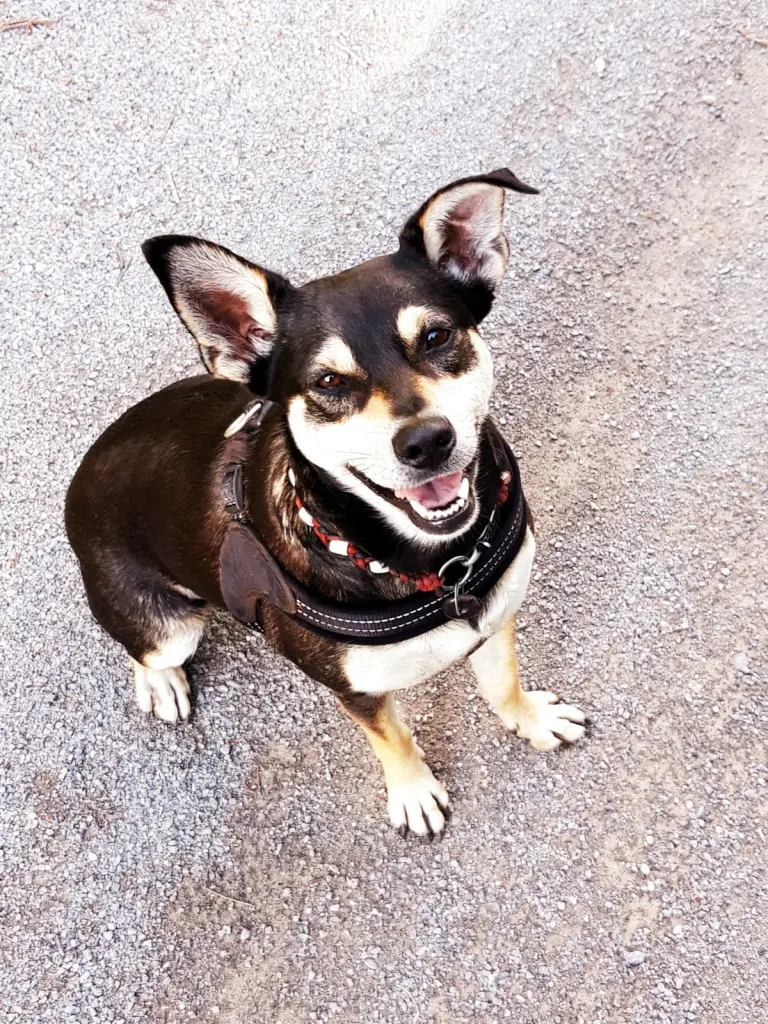 Condolence image of Sandra