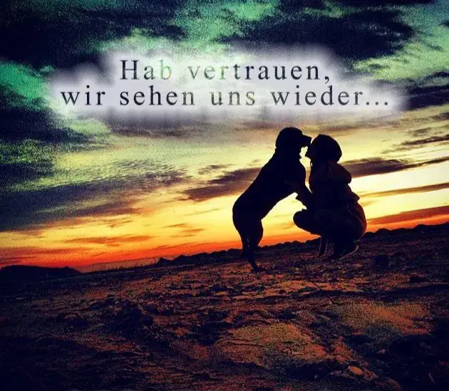 Condolence image of Sven