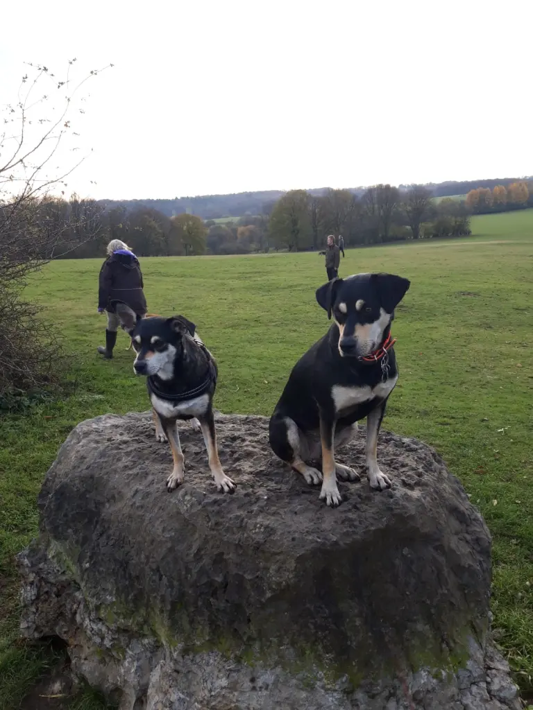 Condolence image of Sandra