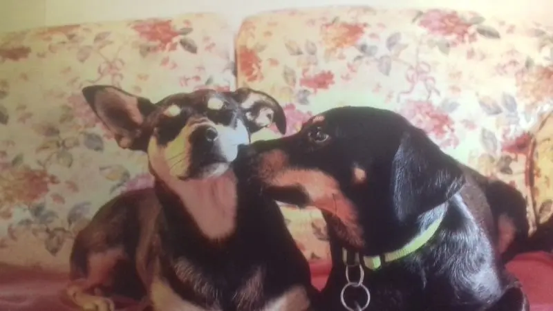 Condolence image of Sandra