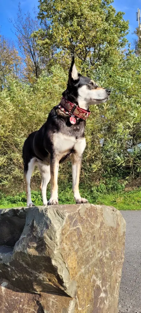 Condolence image of Sandra