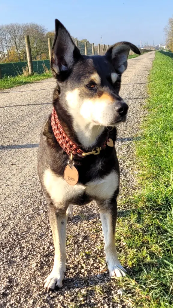 Condolence image of Sandra