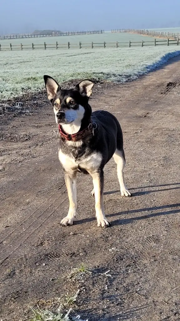 Condolence image of Sandra Geese