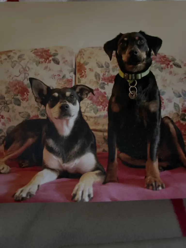 Condolence image of Sandra