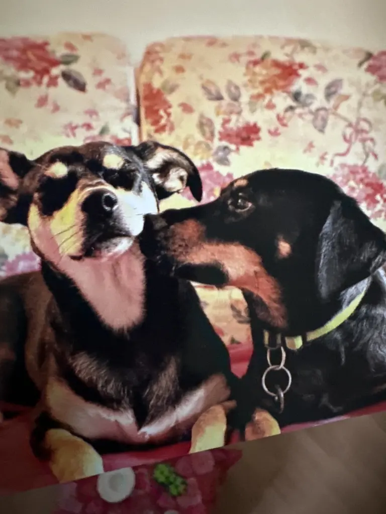 Condolence image of Sandra Geese