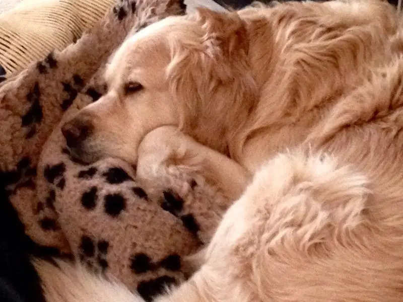 Condolence image of Martina 