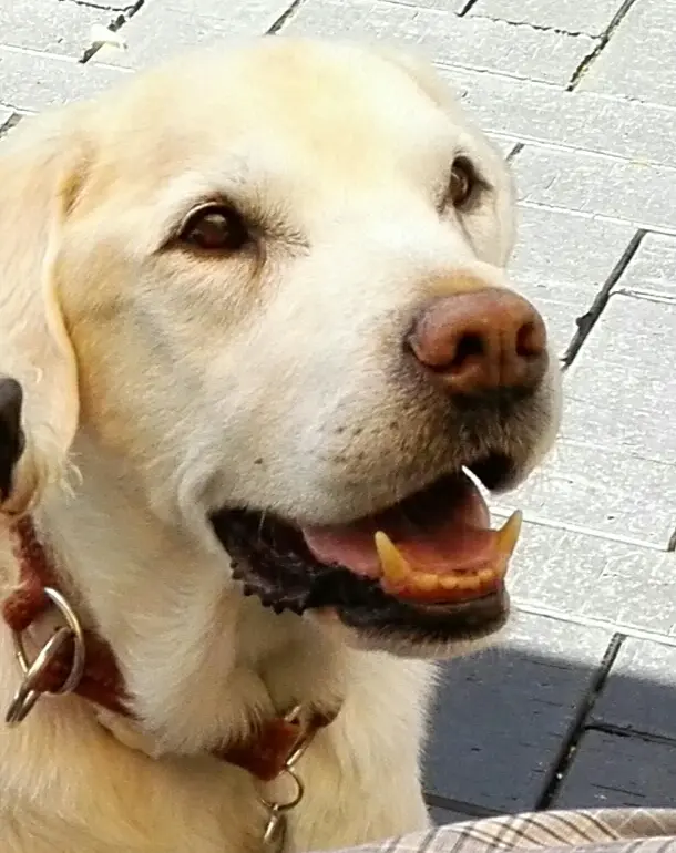 Condolence image of Unbekannt