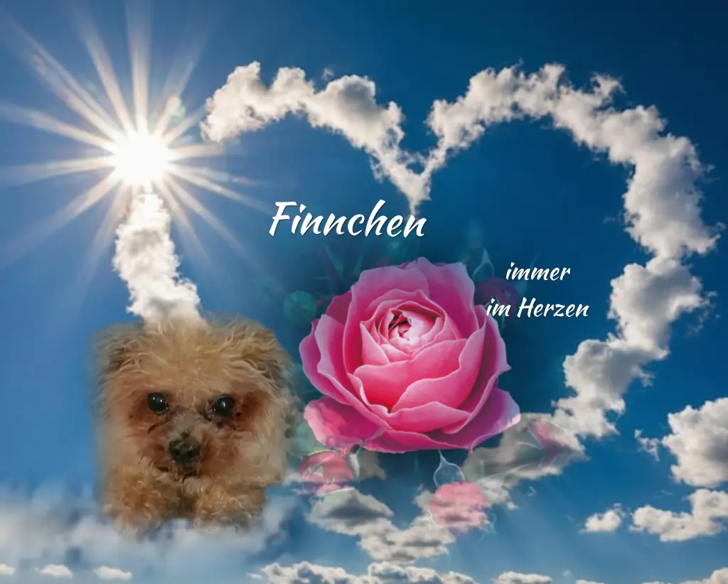 Andachtsbild von Immer im Herzen ❤️