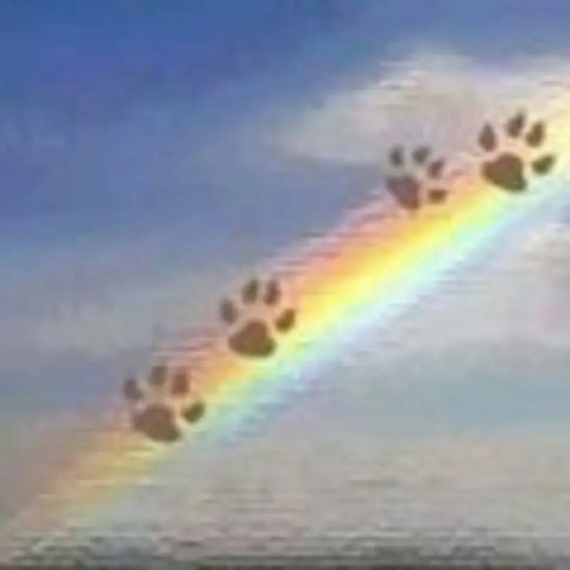 Condolence image of Unbekannt