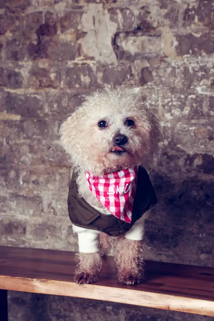 Andachtsbild von Aliya Mit Snupik