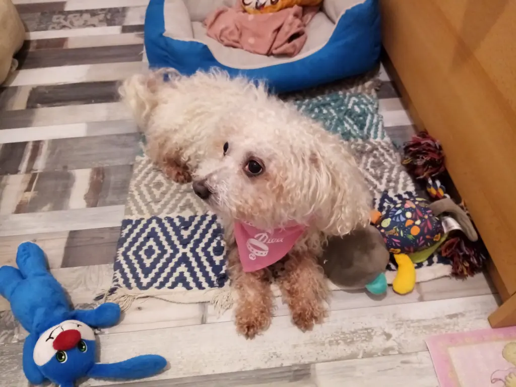 Andachtsbild von Aliya Turetayeva