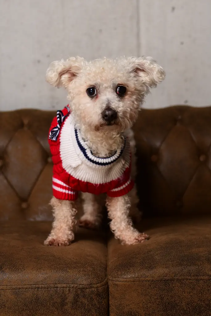 Andachtsbild von Aliya mit Snoopy