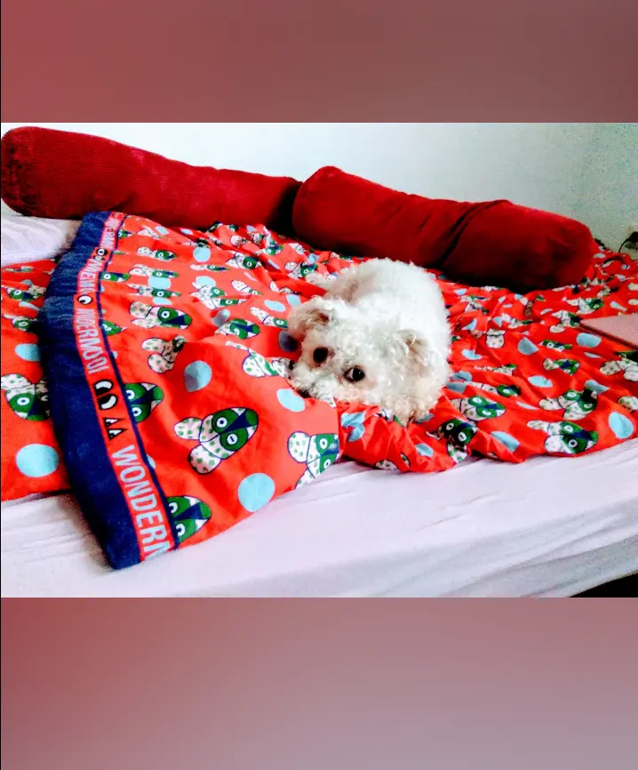 Andachtsbild von Aliya mit Snoopy  im Herzen 