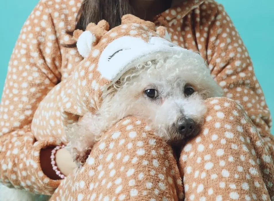 Andachtsbild von Aliya mit Snoopy  im Herzen 