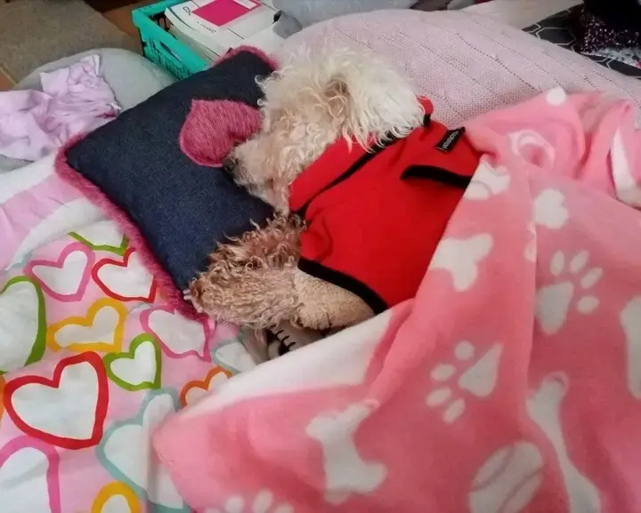 Andachtsbild von Aliya mit Snoopy  im Herzen 