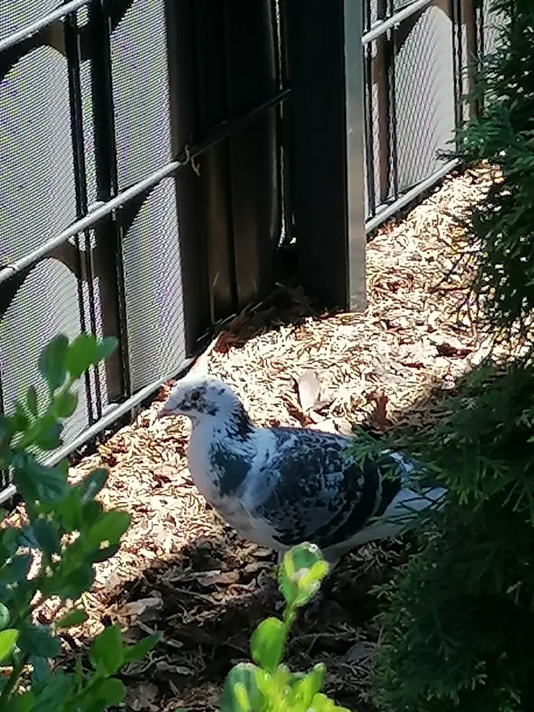 Andachtsbild von ♡Herzen ♡