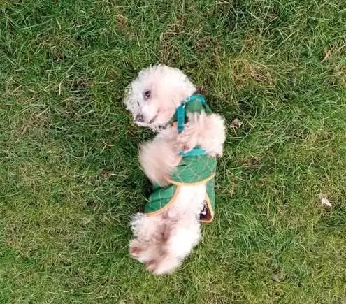 Andachtsbild von Aliya mit Snoopy  im Herzen 