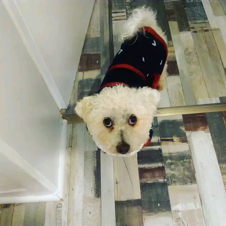 Andachtsbild von Dein lieber Snupik  mit Aliya im Herzen 