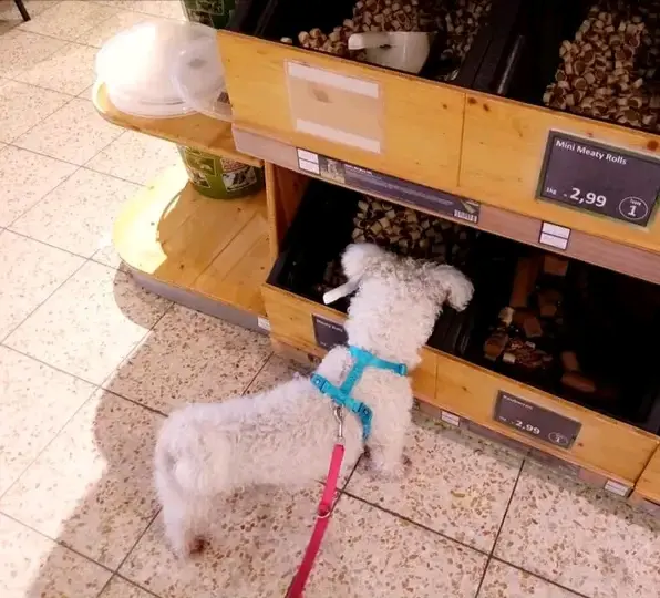 Andachtsbild von Snupik mit Aliya  im Herzen ❤️ 