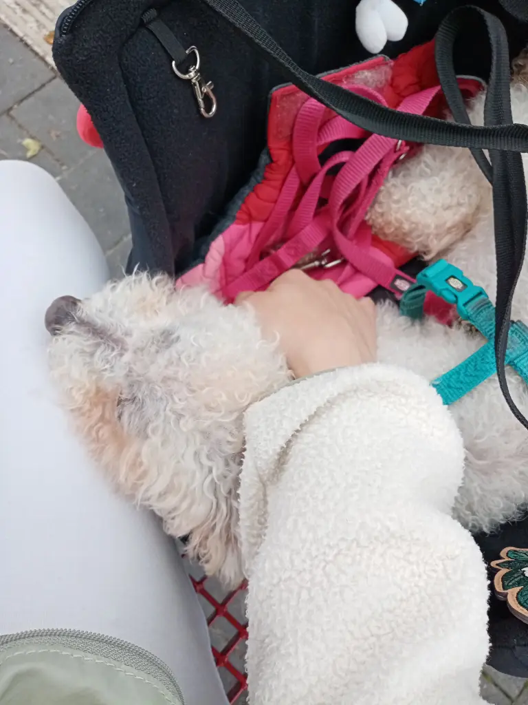 Andachtsbild von Aliya mit Snoopy im Herzen ❤️