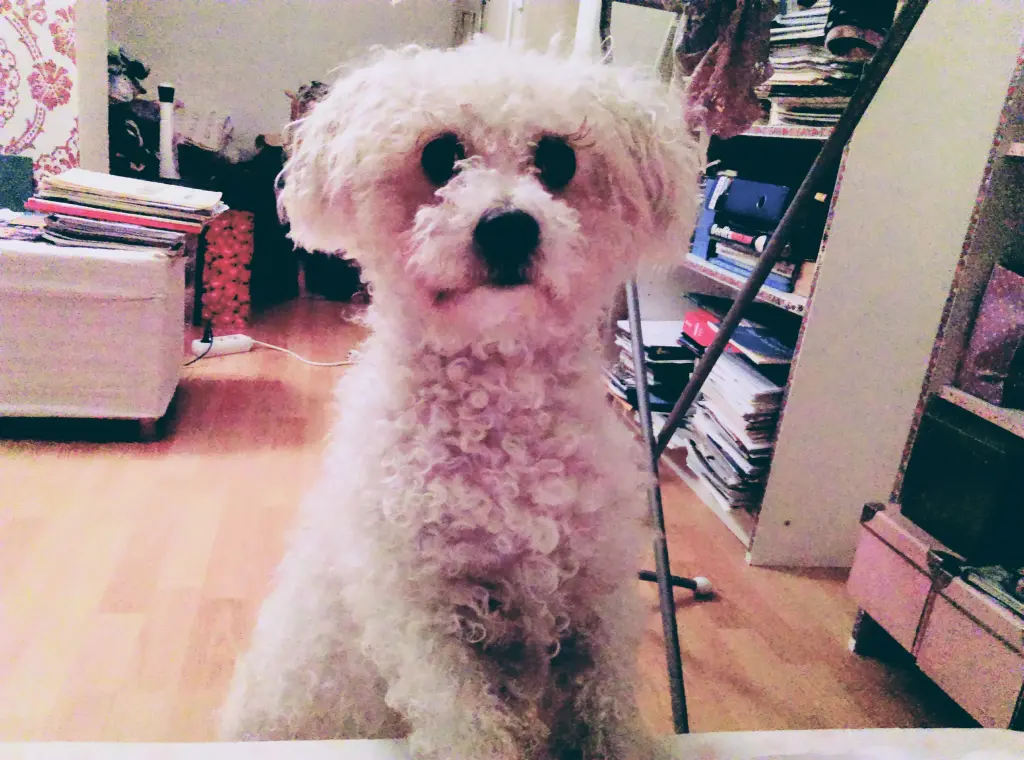 Andachtsbild von Aliya mit Snoopy im Herzen ❤️