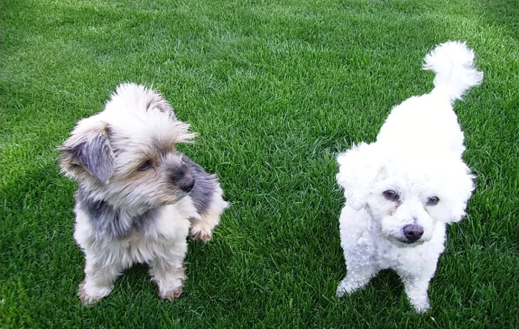 Andachtsbild von Gaby mit ♡☙Snowy☙♡