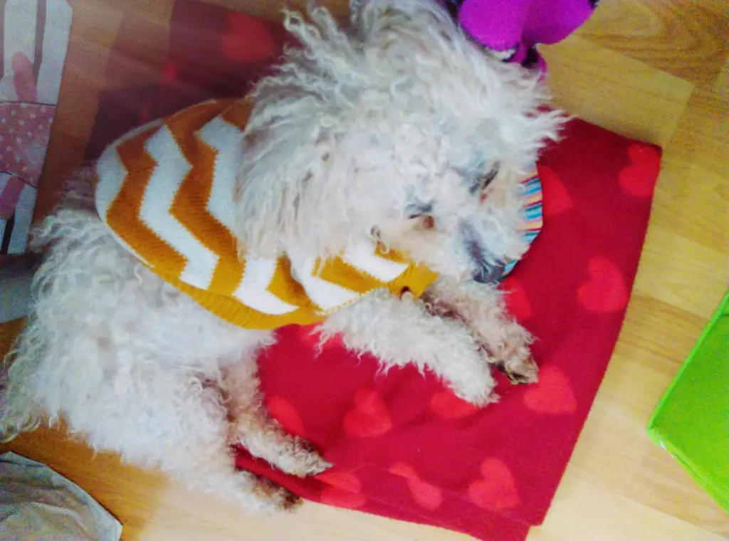 Andachtsbild von Snupik mit Aliya im Herzen ❤️