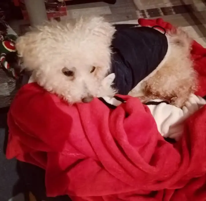 Andachtsbild von Snupik mit Aliya im Herzen ❤️