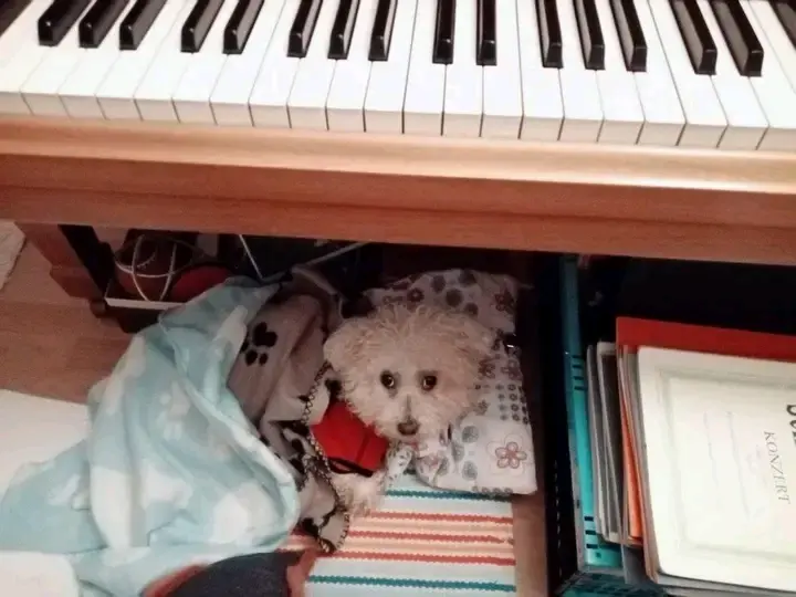 Andachtsbild von Snoopy im Herzen ❤️