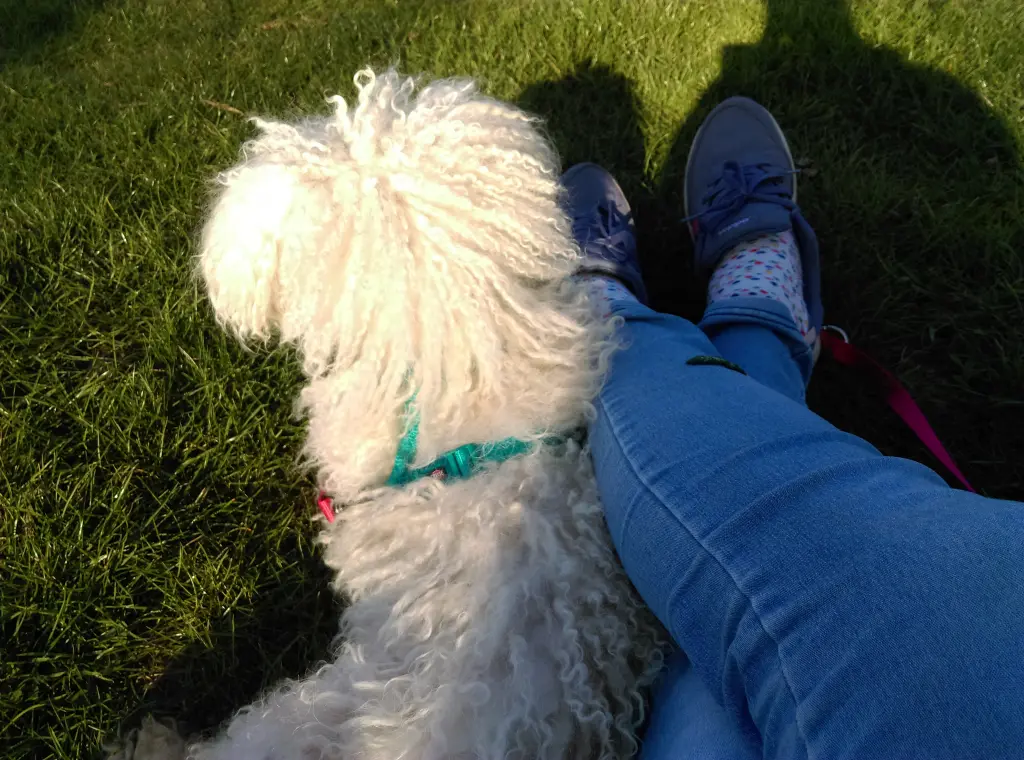 Andachtsbild von Euer Snupik mit Aliya im Herzen ❤️