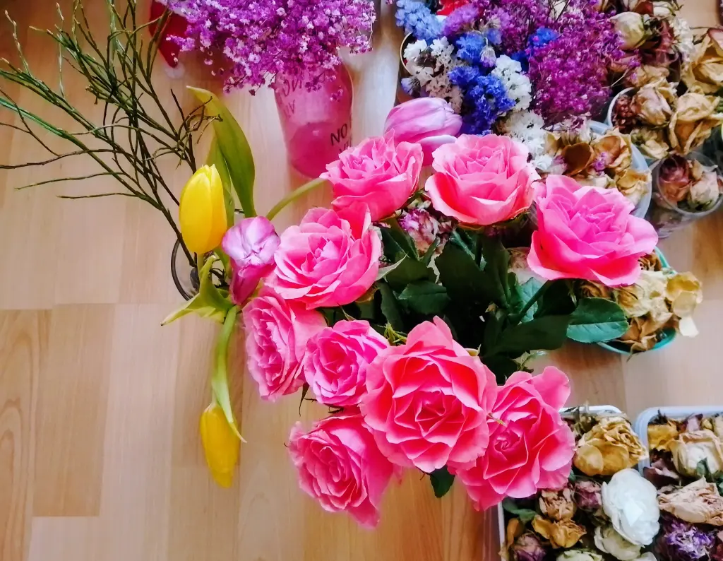 Condolence image of Euer Snupik mit Aliya im Herzen ❤️