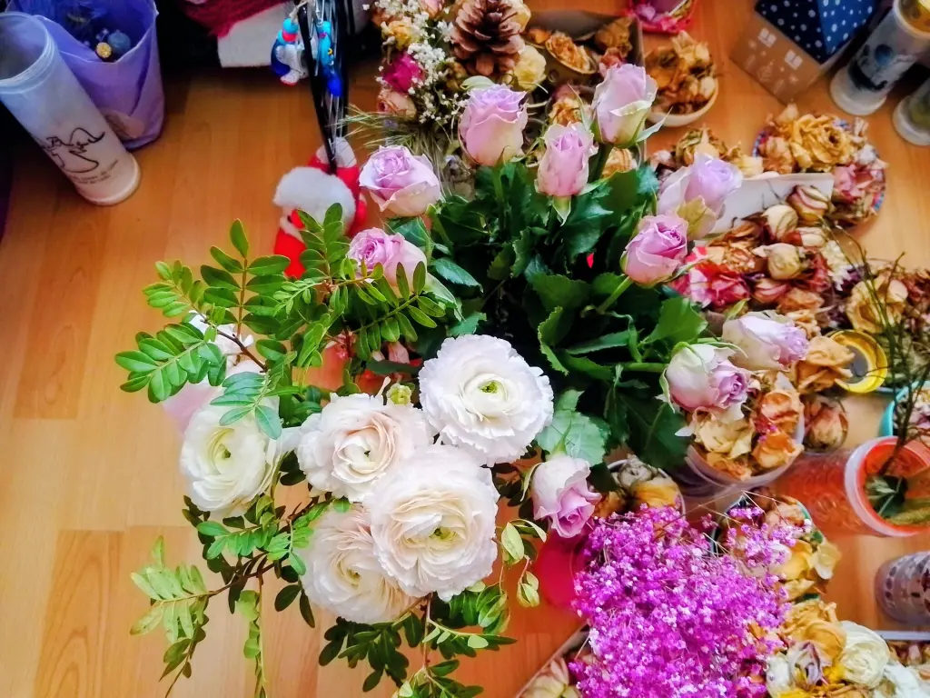 Condolence image of Dein treuer Freund Snupik ❤️
