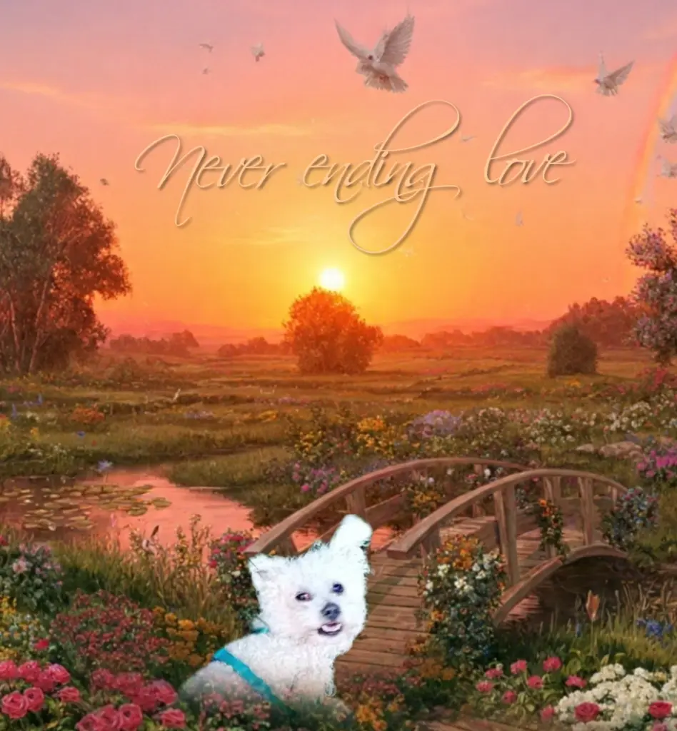 Condolence image of 🥀🕊️🥀